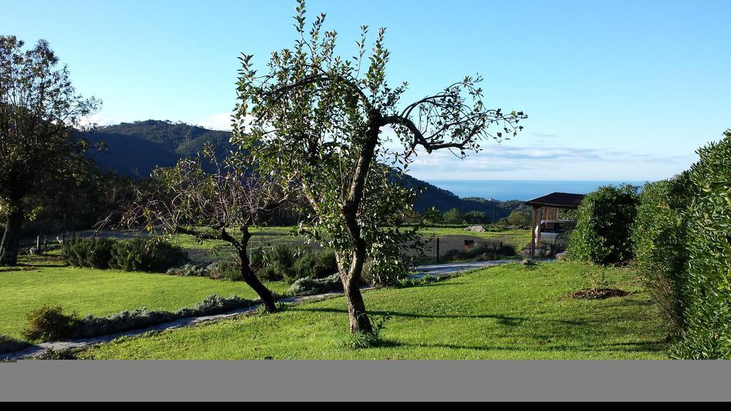 Sostio A Levante Framura Buitenkant foto