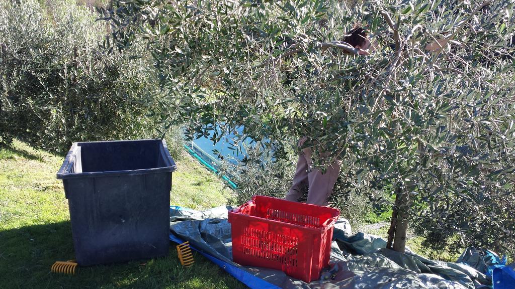Sostio A Levante Framura Buitenkant foto